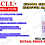 Thumbnail: SCLL 168 1 Litre